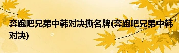 奔跑吧兄弟中韩对决撕名牌(奔跑吧兄弟中韩对决)