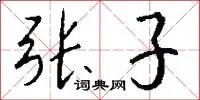 张子