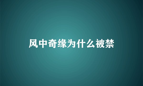 风中奇缘为什么被禁