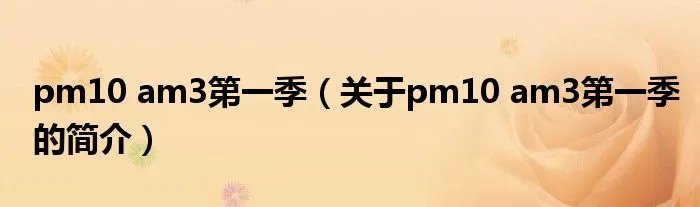 pm10 am3第一季（关于pm10 am3第一季的简介）