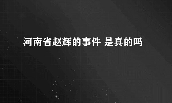 河南省赵辉的事件 是真的吗