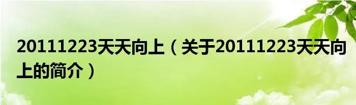 20111223天天向上（关于20111223天天向上的简介）