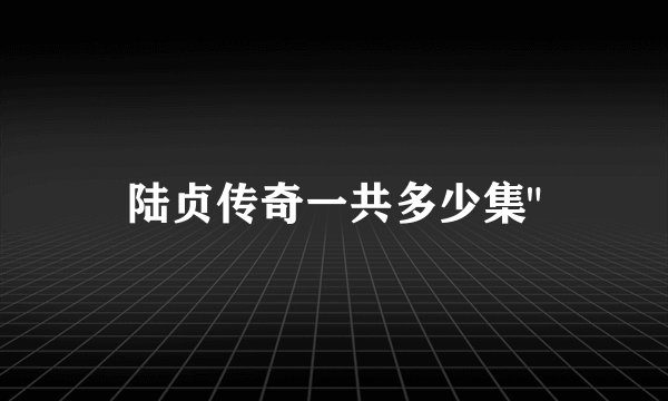陆贞传奇一共多少集