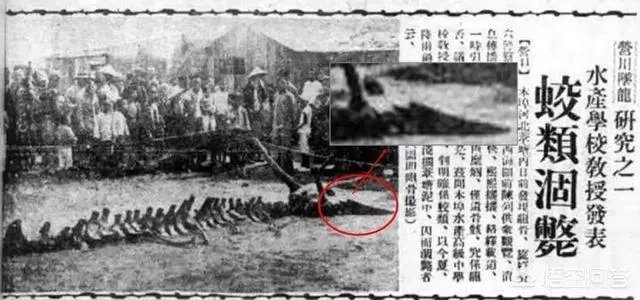 贵州回应山里有“龙吟”,世界上真的有龙的存在吗?