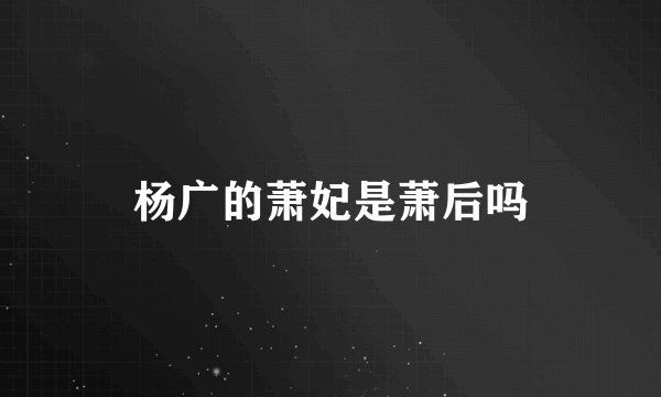 杨广的萧妃是萧后吗