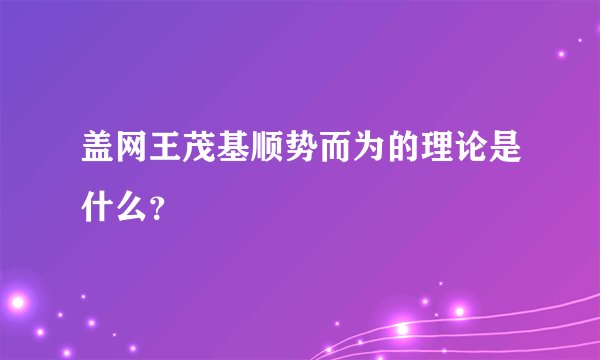 盖网王茂基顺势而为的理论是什么？