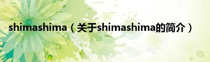 shimashima（关于shimashima的简介）
