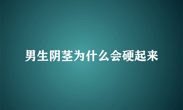 男生阴茎为什么会硬起来