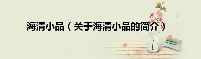 海清小品（关于海清小品的简介）