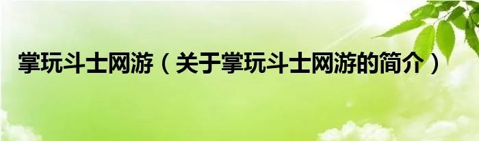 掌玩斗士网游（关于掌玩斗士网游的简介）