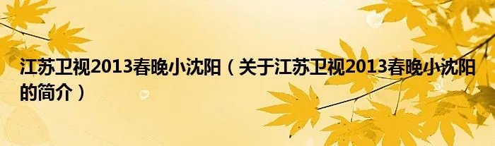 江苏卫视2013春晚小沈阳（关于江苏卫视2013春晚小沈阳的简介）