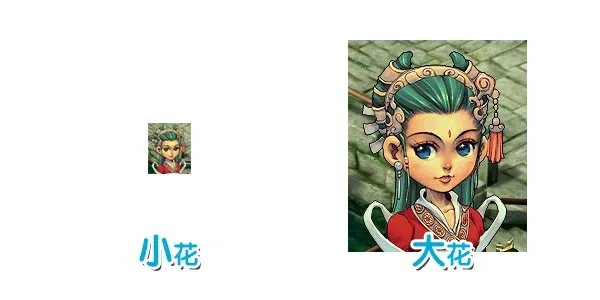 正反体的简介