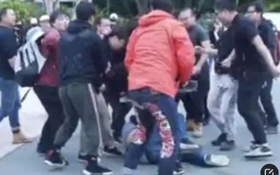 沈于童是什么意思?
