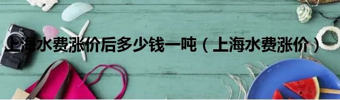 上海水费涨价后多少钱一吨（上海水费涨价）