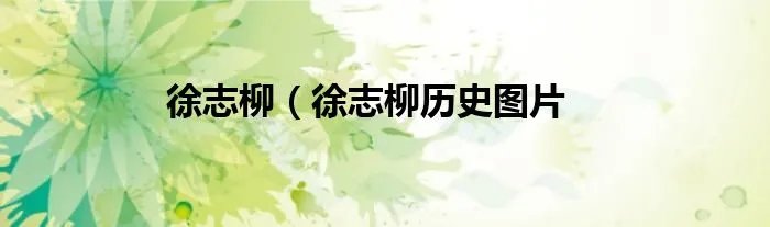 徐志柳(徐志柳历史图片