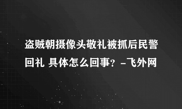 盗贼朝摄像头敬礼被抓后民警回礼 具体怎么回事？-飞外网