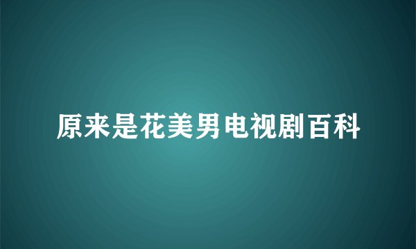 原来是花美男电视剧百科