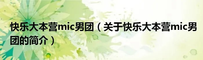 快乐大本营mic男团（关于快乐大本营mic男团的简介）