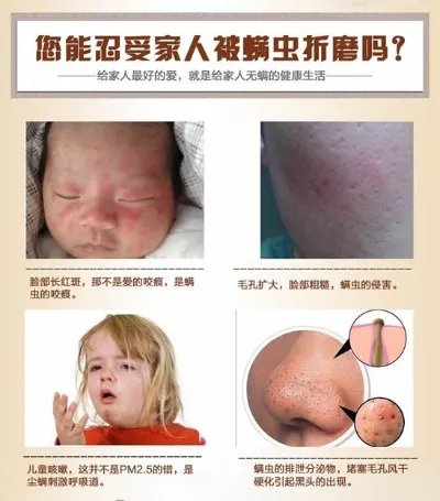 把枕头放进这里一夜后螨虫全死了（图）