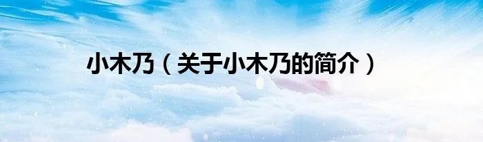 小木乃（关于小木乃的简介）