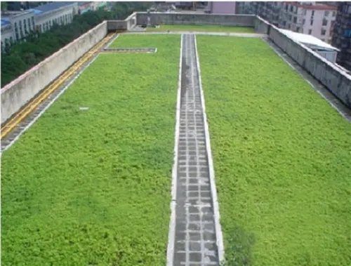 塑料排水板施工工艺流程有哪些