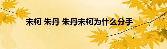 宋柯 朱丹 朱丹宋柯为什么分手