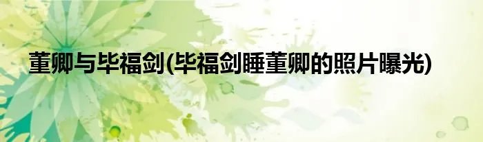 董卿与毕福剑(毕福剑睡董卿的照片曝光)