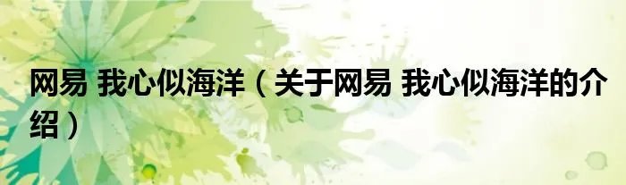 网易 我心似海洋（关于网易 我心似海洋的介绍）