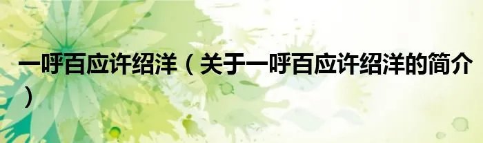 一呼百应许绍洋（关于一呼百应许绍洋的简介）