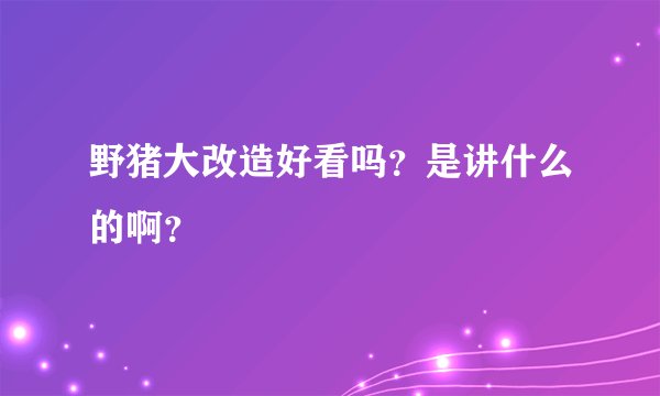 野猪大改造好看吗？是讲什么的啊？