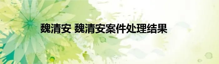 魏清安 魏清安案件处理结果