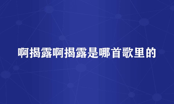 啊揭露啊揭露是哪首歌里的
