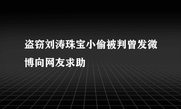 盗窃刘涛珠宝小偷被判曾发微博向网友求助