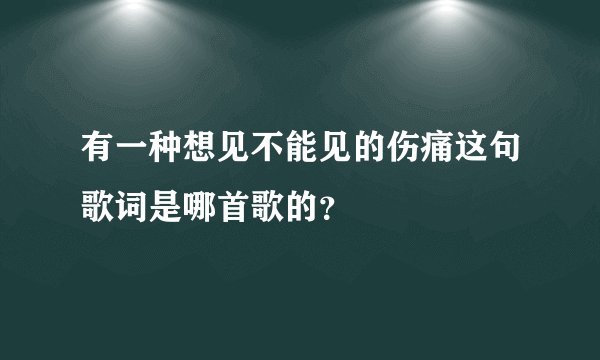 有一种想见不能见的伤痛这句歌词是哪首歌的？