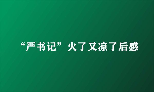 “严书记”火了又凉了后感