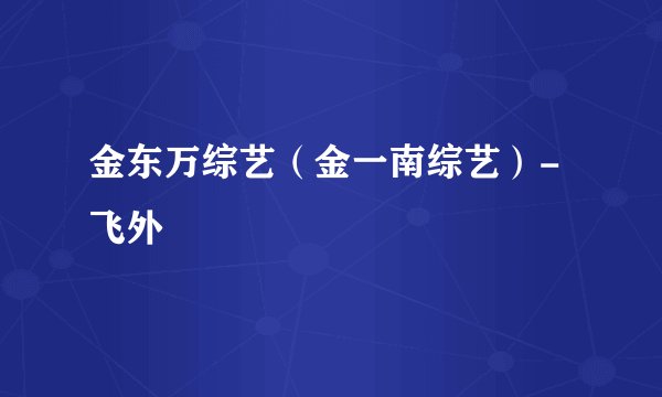 金东万综艺（金一南综艺）-飞外