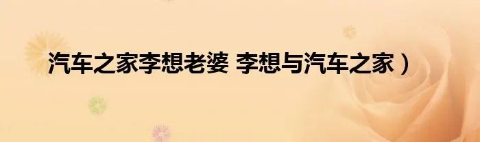 汽车之家李想老婆 李想与汽车之家)