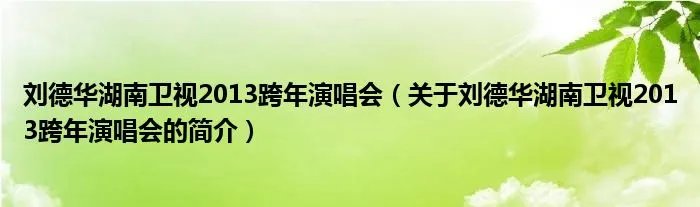刘德华湖南卫视2013跨年演唱会（关于刘德华湖南卫视2013跨年演唱会的简介）