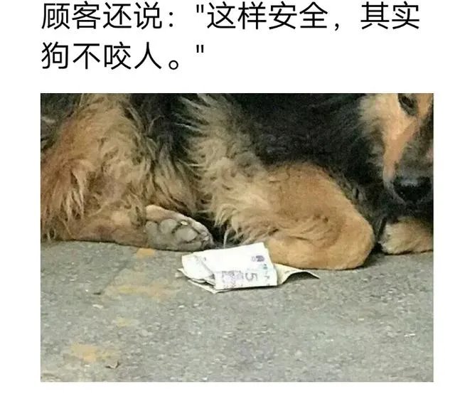 外卖单奇葩留言让外卖小哥哭笑不得，你还收到什么奇葩留言？
