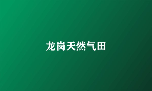 龙岗天然气田