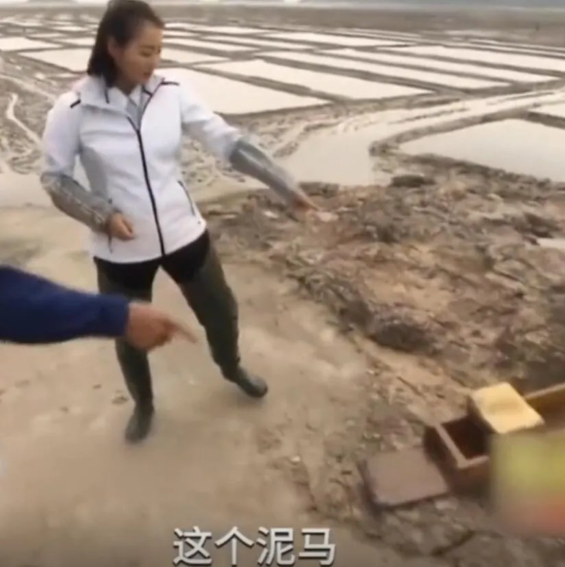 泥马是什么意思？是一种抓小海鲜的工具