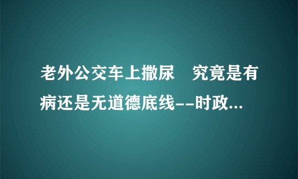 老外公交车上撒尿 究竟是有病还是无道德底线--时政--飞外
