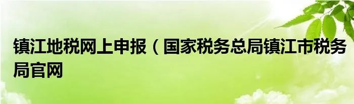 镇江地税网上申报（国家税务总局镇江市税务局官网