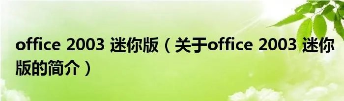 office 2003 迷你版（关于office 2003 迷你版的简介）