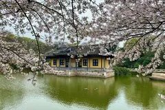 国内十大度蜜月圣地 国内最适合度蜜月的景点有哪些