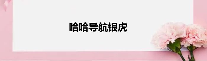 哈哈导航银虎