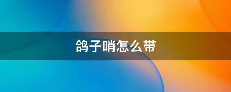 鸽子哨怎么带