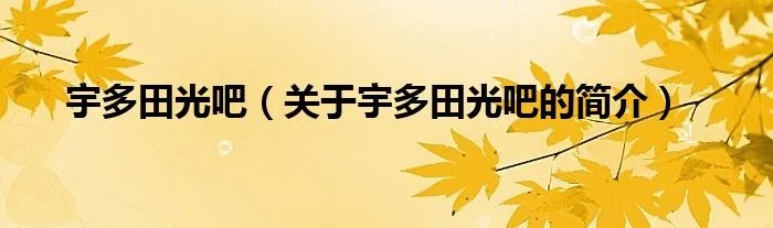 宇多田光吧（关于宇多田光吧的简介）