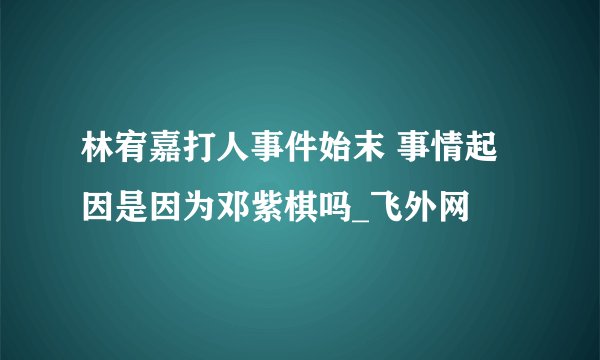 林宥嘉打人事件始末 事情起因是因为邓紫棋吗_飞外网