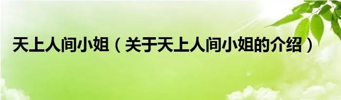 天上人间小姐（关于天上人间小姐的介绍）